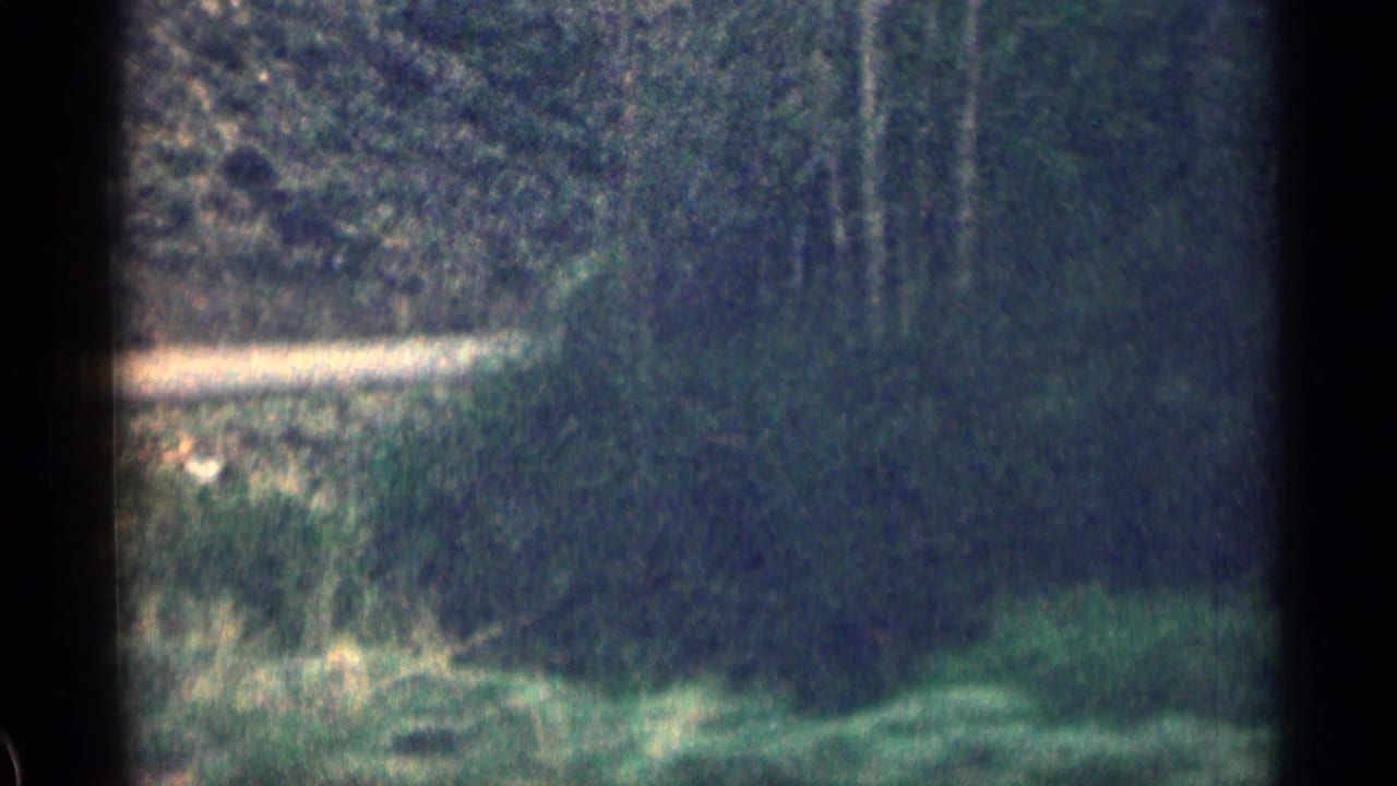 1963 Colorado 8mm frame showing a soft, grainy view of a green mountain slope through dark gate edges.