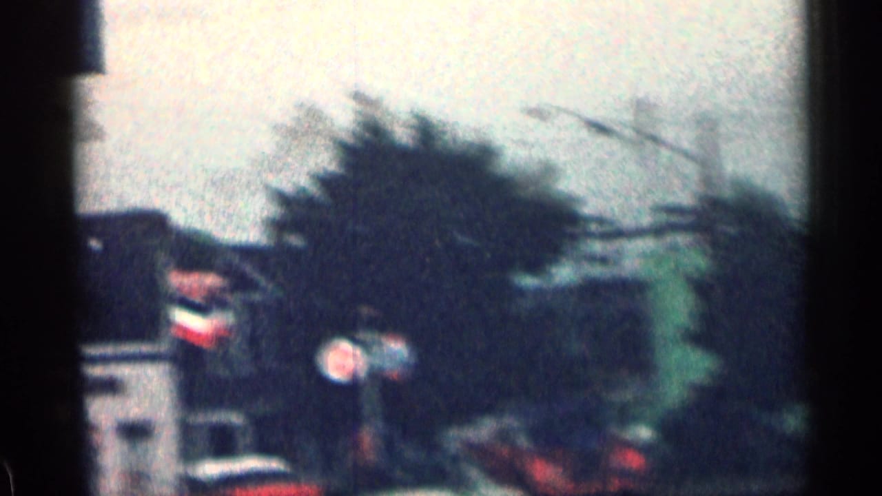 Blurred street view with foliage, a person in yellow, and a Chevron sign in the background.