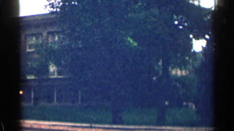 1963 Colorado residential exterior seen through a large tree, with windows, shrubs, and street edge visible.
