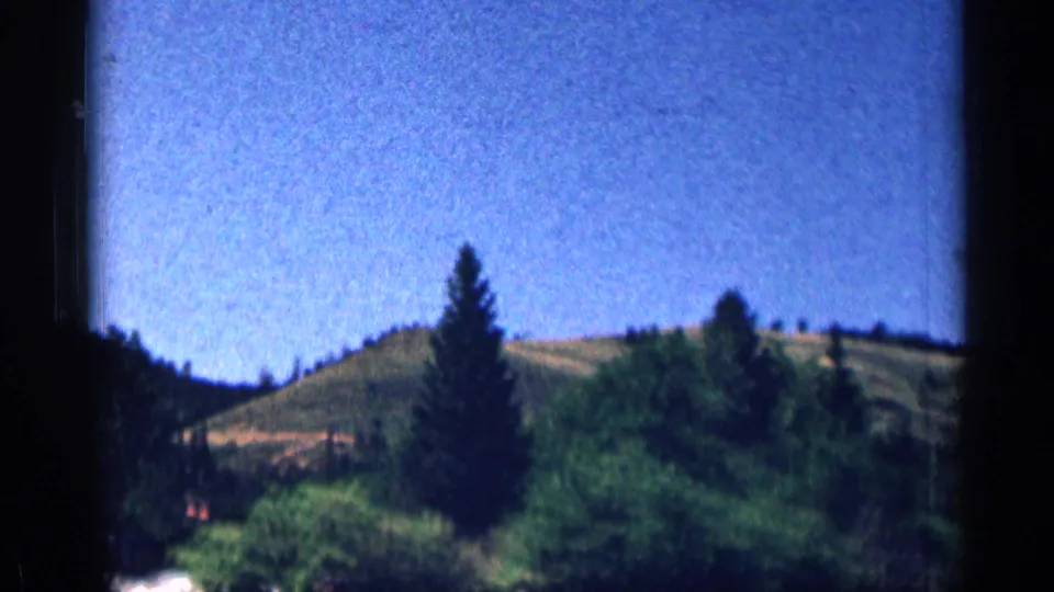 Vintage 1963 Colorado home-movie frame showing a tall pine, dense greenery, and a sunlit hillside under blue sky.