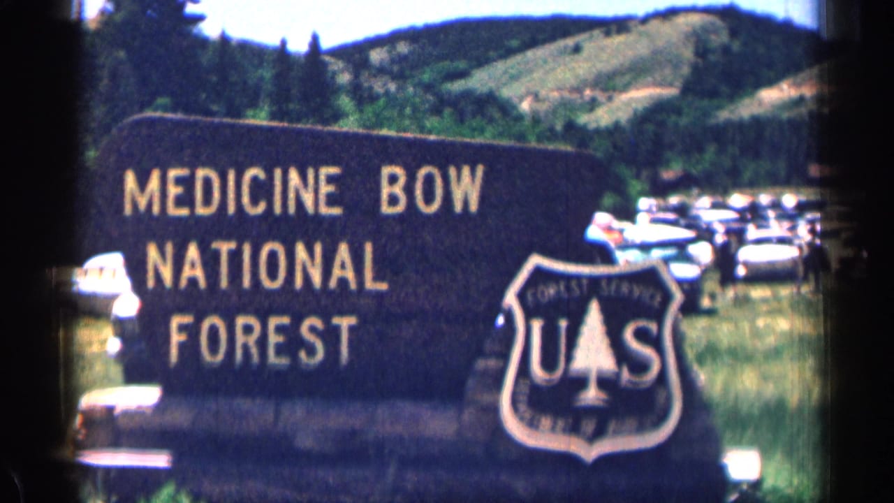 Medicine Bow National Forest entrance sign with the U.S. Forest Service shield, parked 1960s cars, grassy ground, and wooded hills.