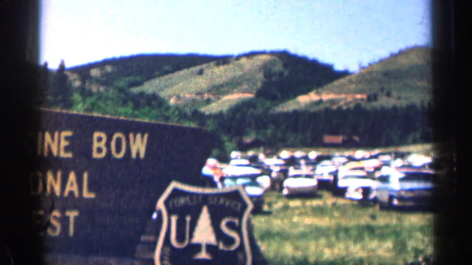 Partially cropped Medicine Bow National Forest sign with the U.S. Forest Service emblem, classic parked cars, pine trees, and green hills.