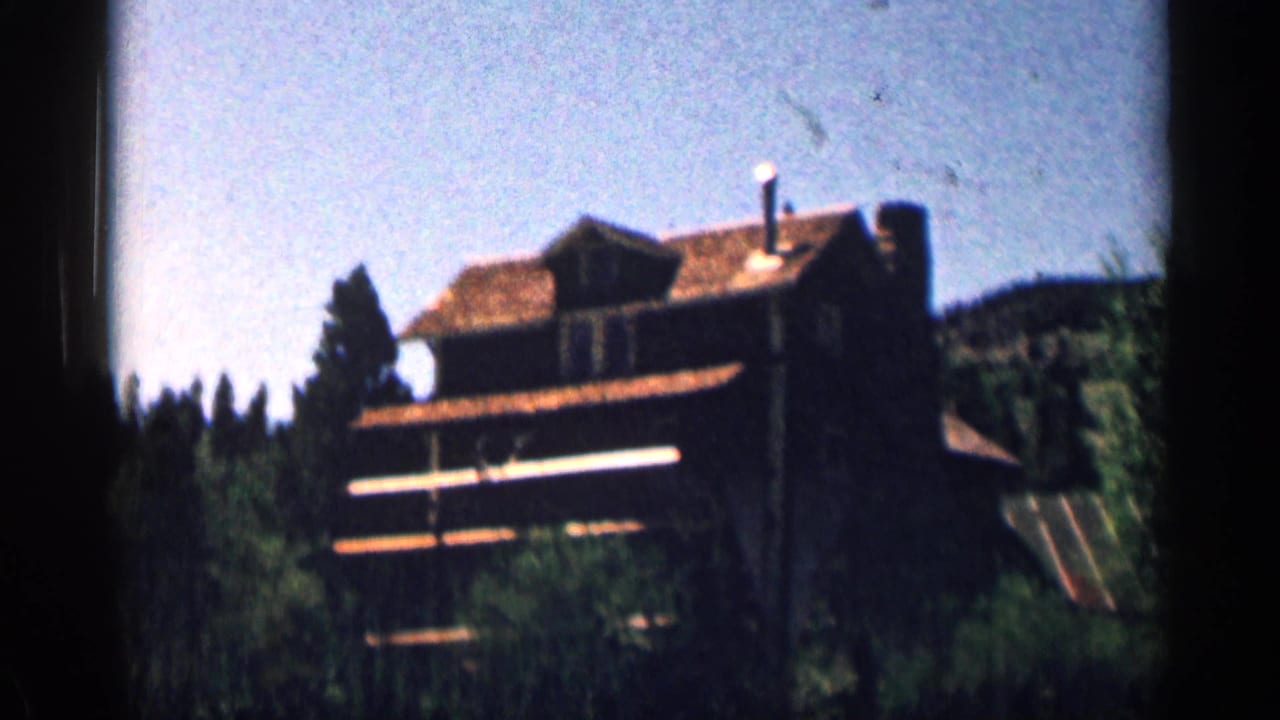 Rustic hillside lodge partly surrounded by evergreen trees under a bright sky.