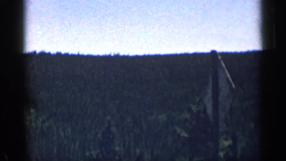 1963 Colorado 8mm frame looking across a dense evergreen-covered ridge with bright sky above.