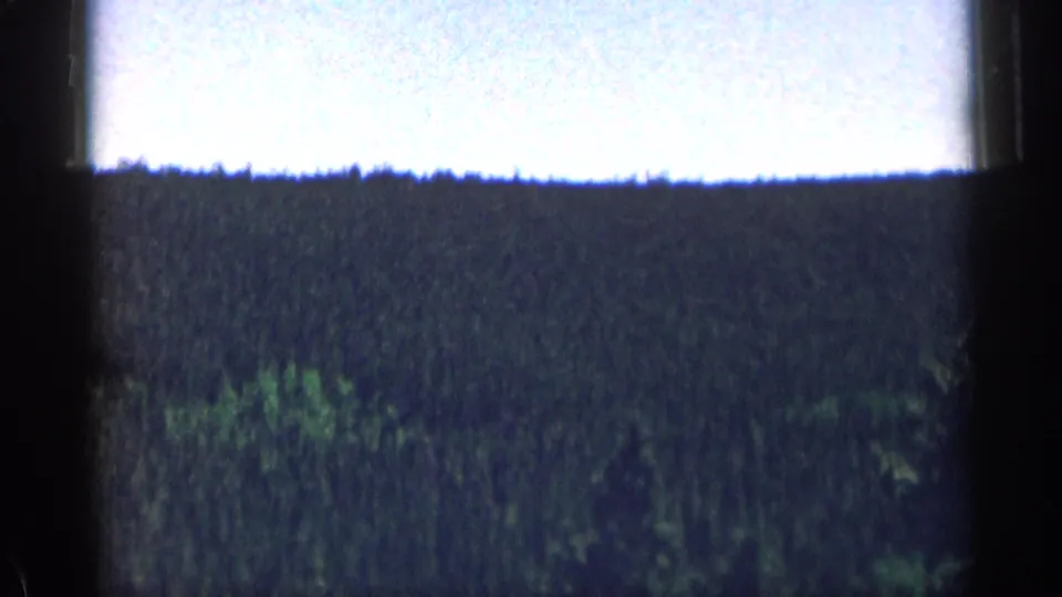 1963 Colorado 8mm frame of a wooded mountain slope, with a continuous treeline beneath a pale bright sky.
