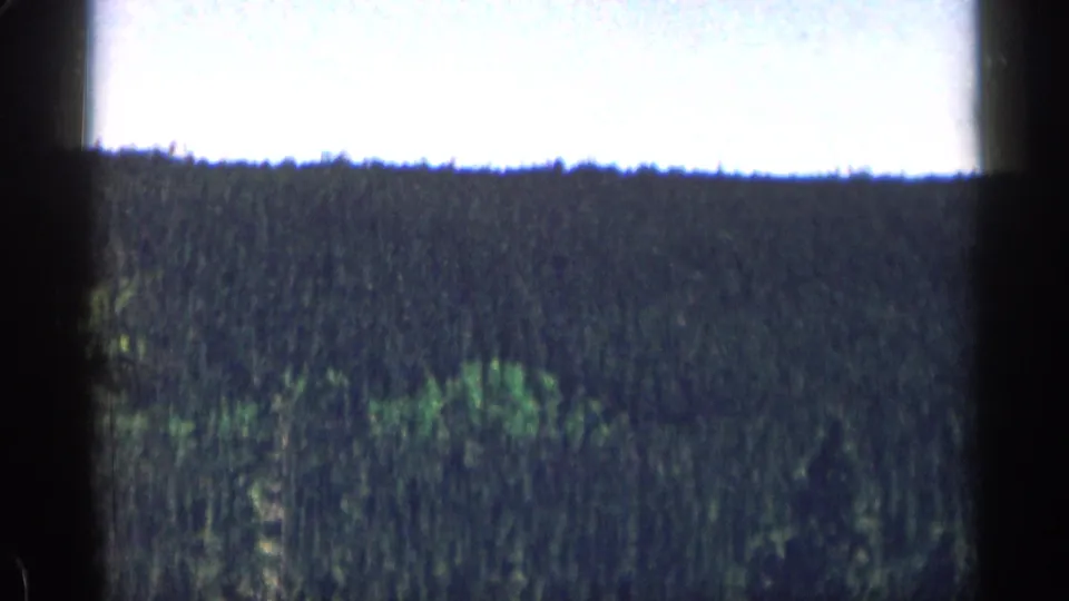 1963 Colorado 8mm frame showing a forested mountain slope and bright sky, with visible film-frame borders.