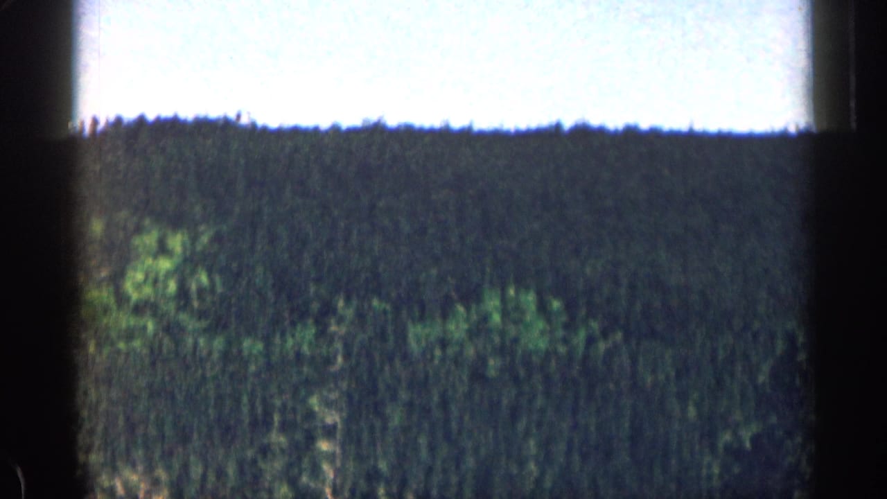 Soft 8mm view of a forested mountain ridge beneath a bright sky.