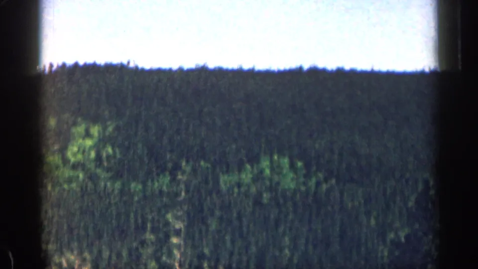 1963 Colorado home-movie frame showing a dark green pine-covered ridge under an overexposed sky.