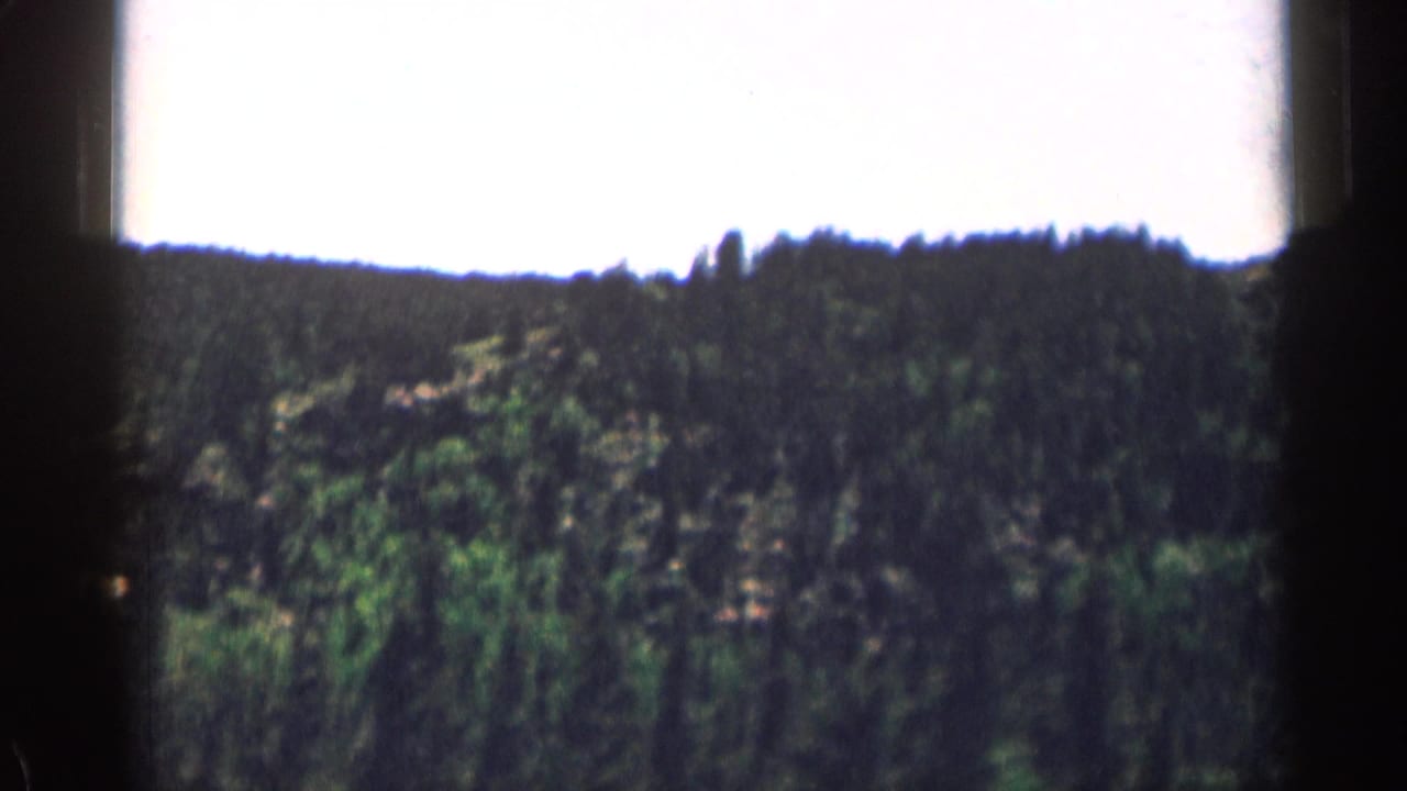 1963 Colorado 8mm frame of dense pine forest across a mountain slope with a bright, washed sky above.