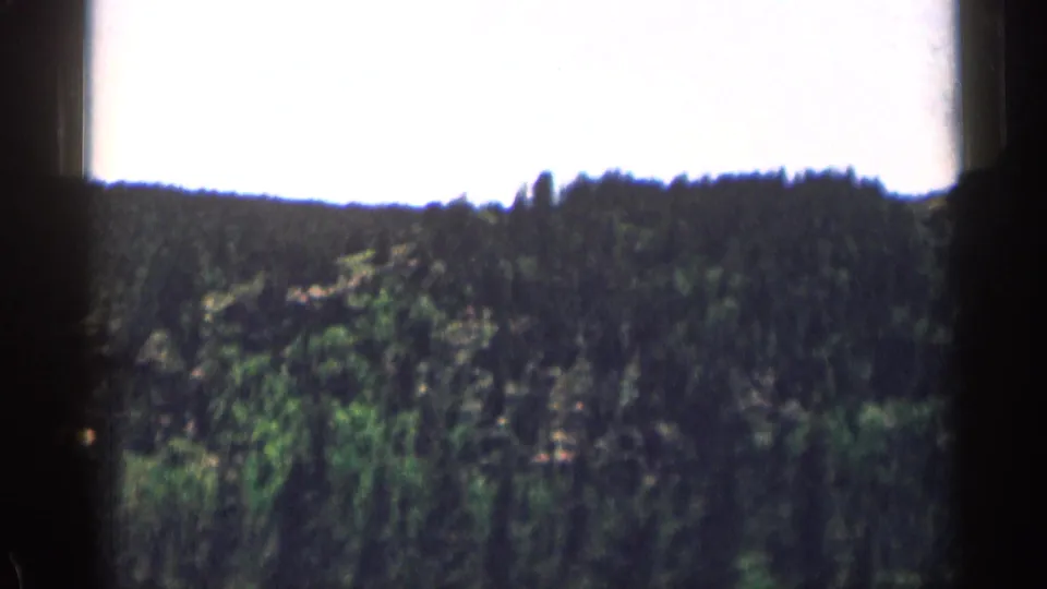 1963 Colorado 8mm frame of dense pine forest across a mountain slope with a bright, washed sky above.