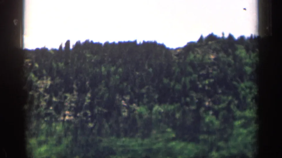 1963 Colorado home-movie view of a rugged pine-covered hillside, with film grain and slight blur visible.