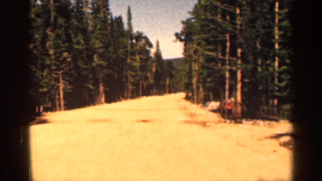 1963 Colorado home-movie frame showing a sunlit dirt road through tall pines near the Medicine Bow ski-area setting.
