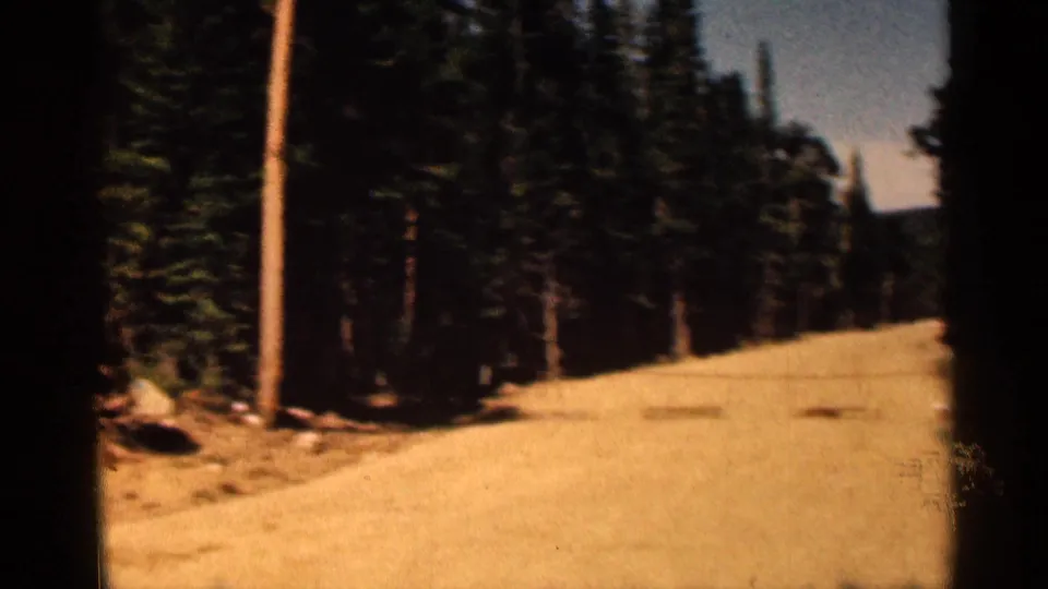 1963 8mm view of a sunlit dirt road passing through dense pine forest in Colorado.
