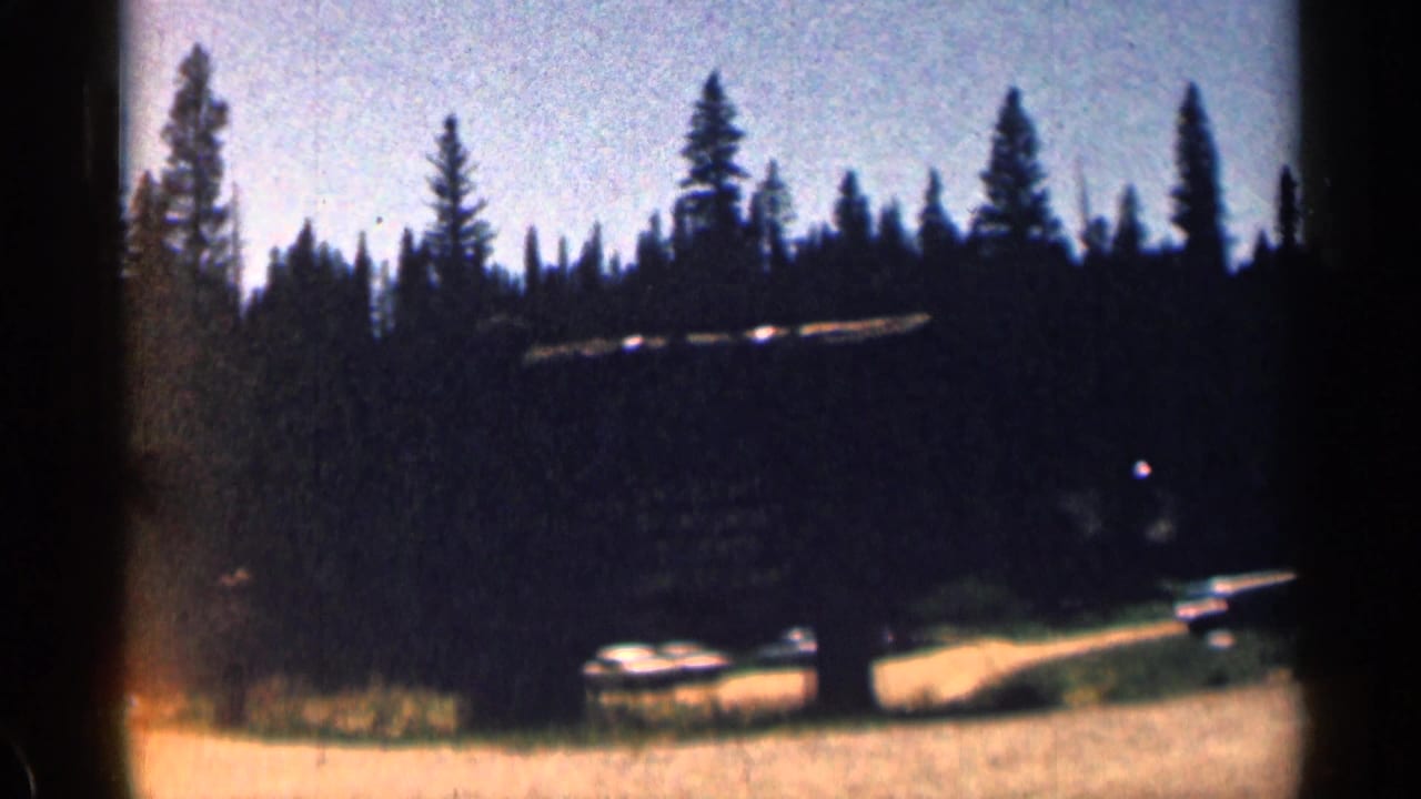 1960s home-movie view of tall pine trees beside a dim roadside clearing in a mountain setting.