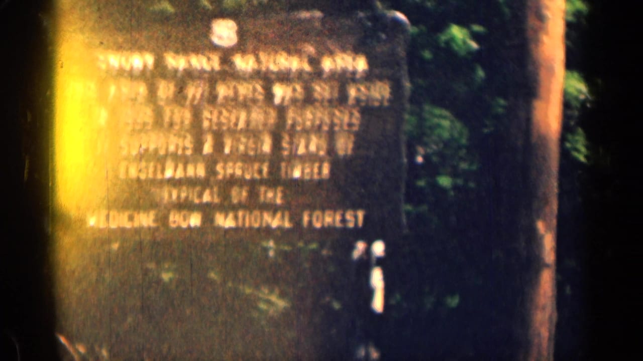 Wooden forest sign beside trees, partially blurred by film motion.