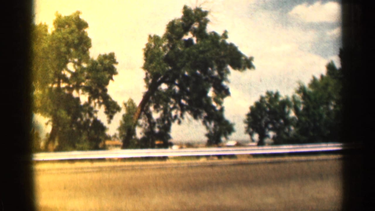 Roadside guardrail passes in front of large trees, dry grass, and a bright sky.