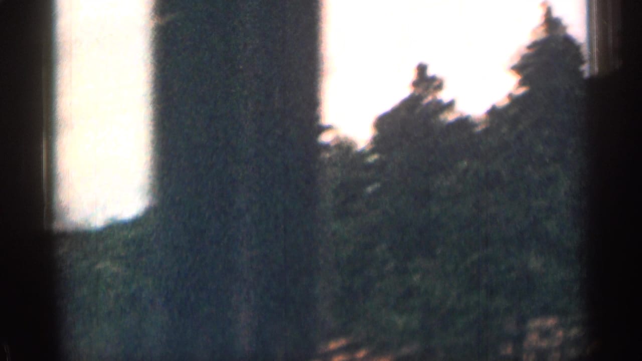 A soft 8mm view of Colorado trees and bright sky passing behind a dark vehicle or frame edge.