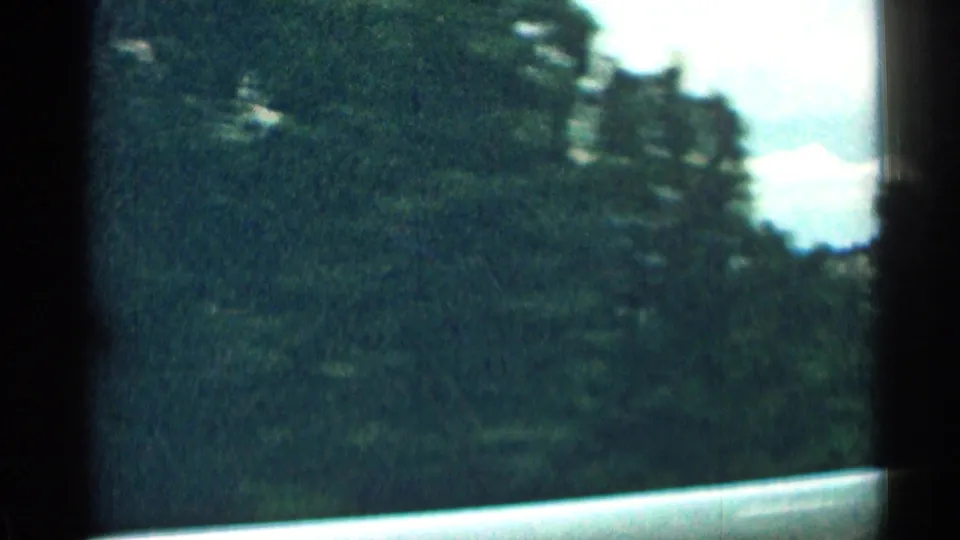 Soft, grainy 8mm view from a moving vehicle in Colorado, with green roadside trees and a bright patch of sky.
