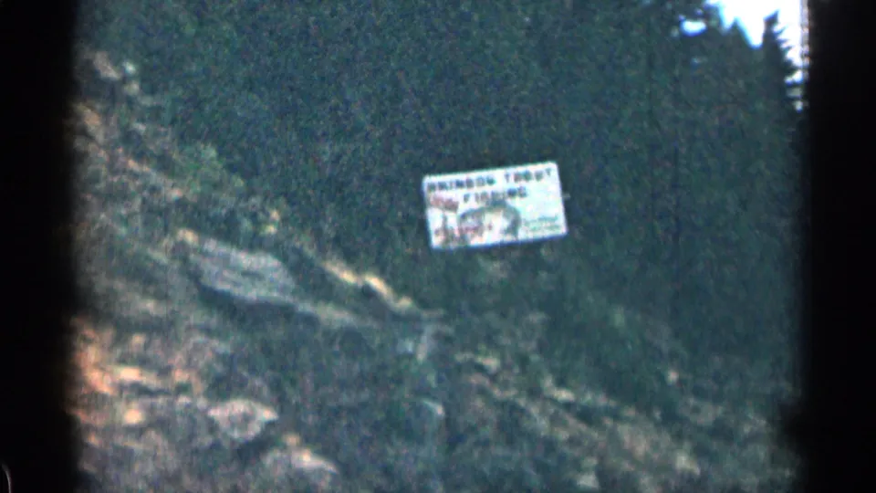 1963 Colorado travel frame with a readable Rainbow Trout Fishing roadside sign set against trees and a rocky mountain cut.