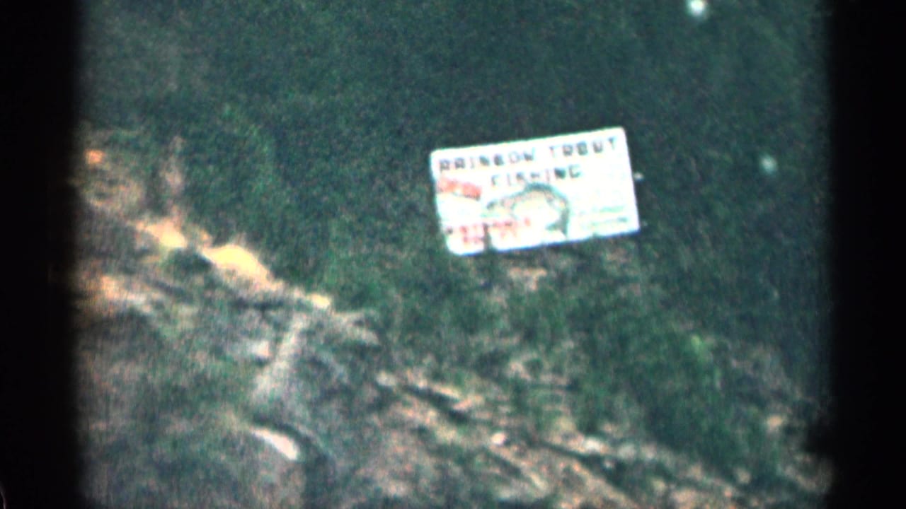 Roadside trout-fishing sign partly surrounded by dark green foliage.