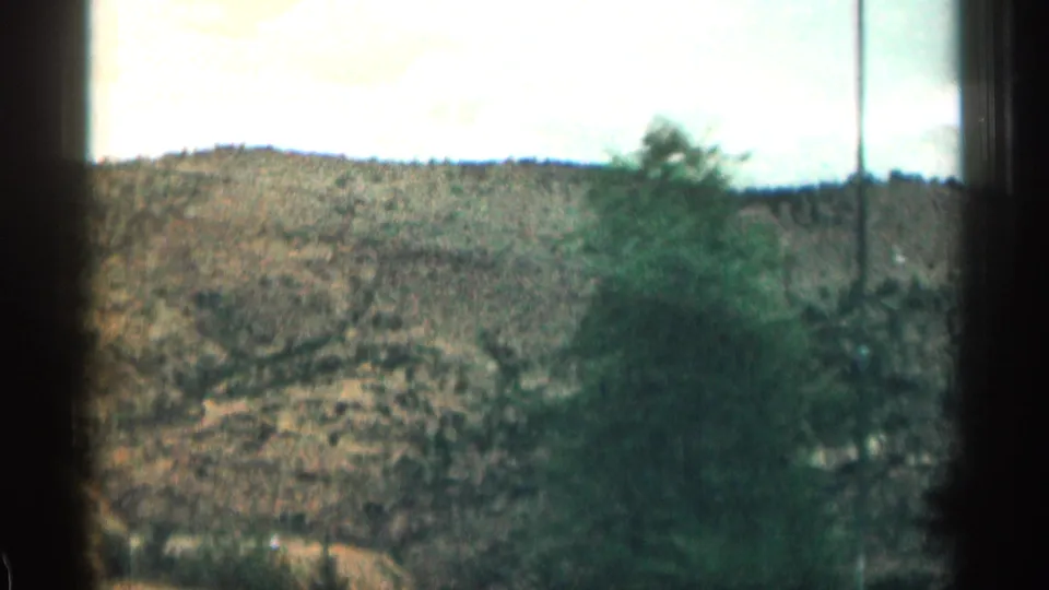 Soft, motion-blurred 8mm view of a Colorado roadside hillside with scrub, trees, pale sky, and dark windshield framing.
