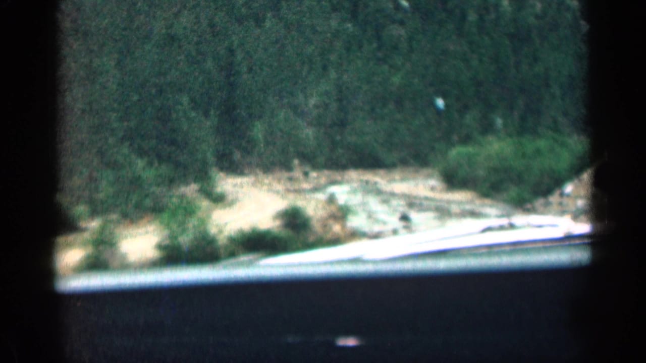 View through a car windshield toward a forested mountain road and pale rocky wash.