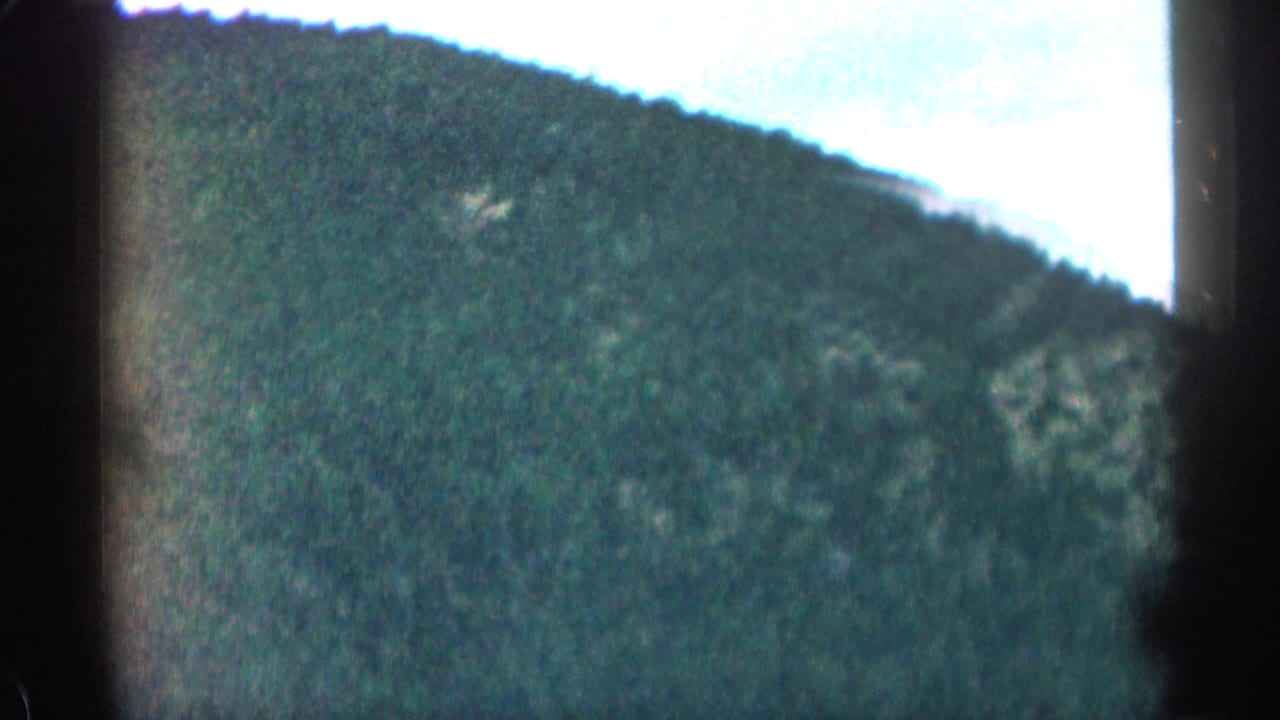 Forested mountain hillside seen through a dark vehicle window frame.