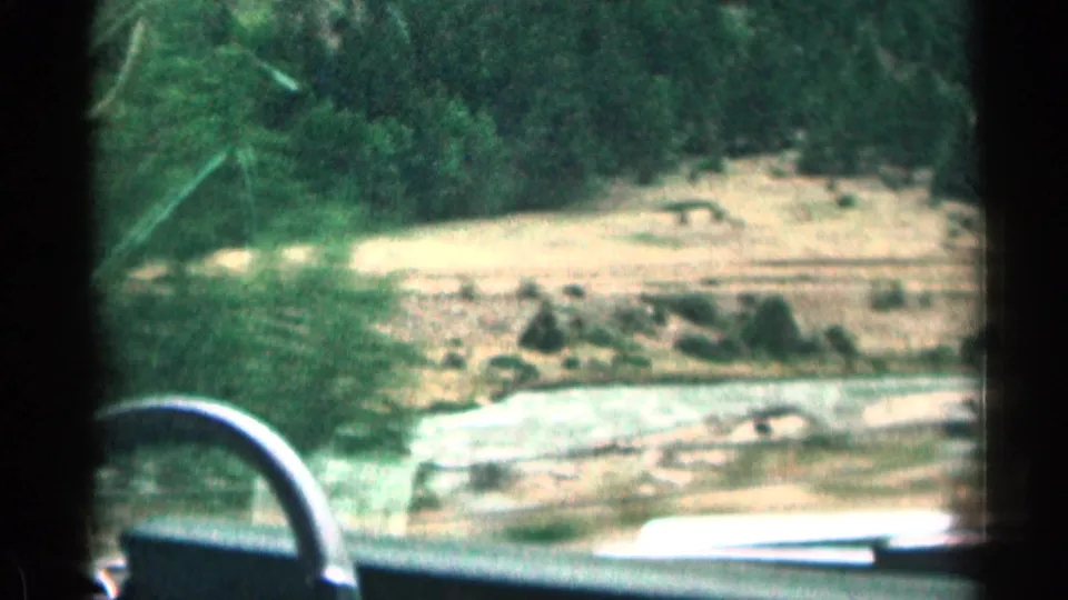 In-car 1963 Colorado travel view with steering wheel edge, dashboard, riverbank, rocks, and dense trees beyond the road.