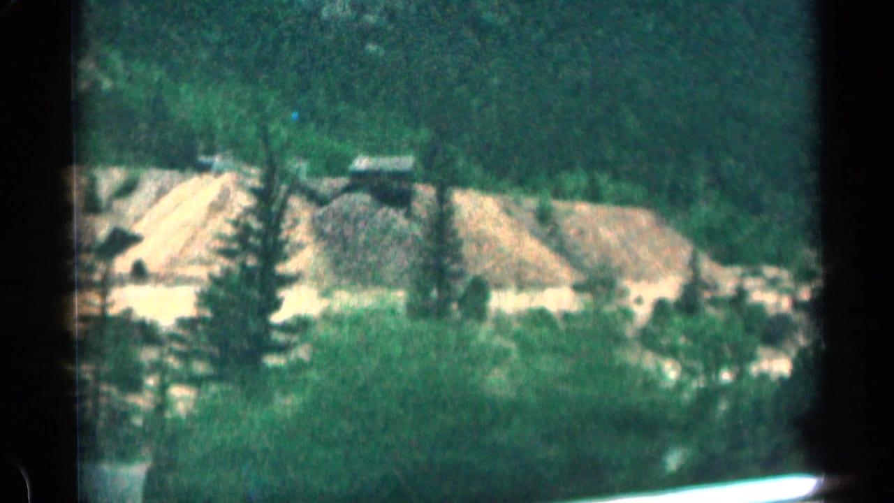 Excavation piles and evergreen trees along a mountain roadside.