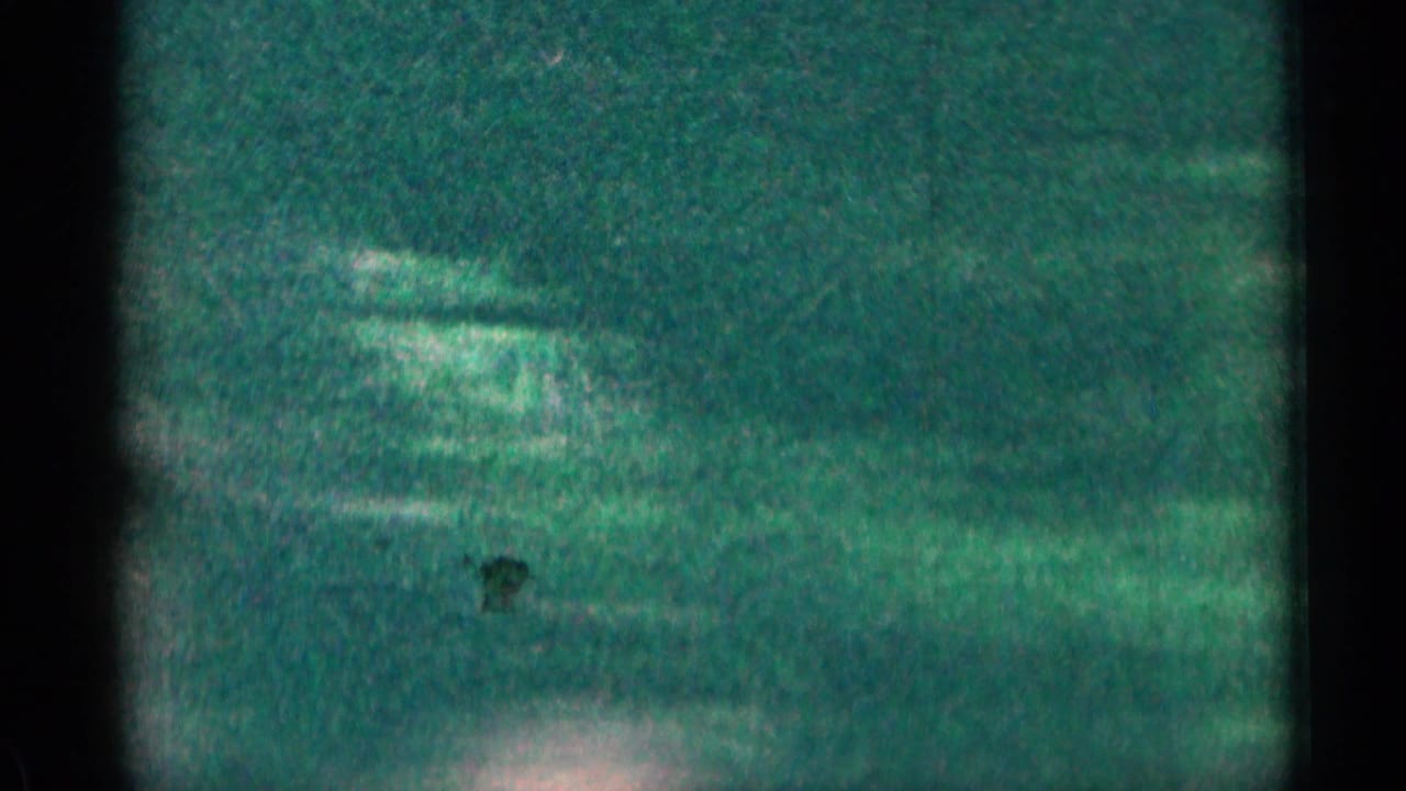 1963 Colorado 8mm frame with a soft green-tinted view of hillside, trees, and roadside vegetation through dark film edges.