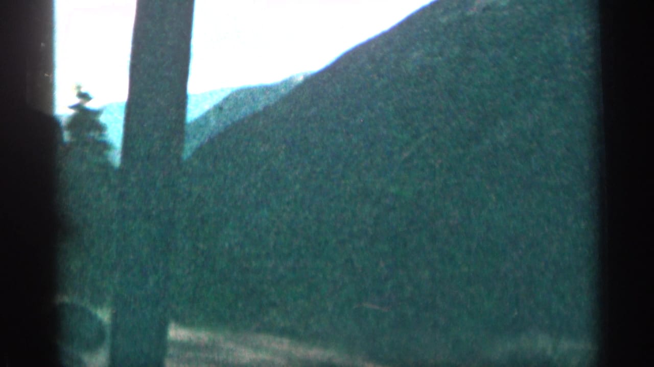 1963 Colorado 8mm frame showing a dark tree trunk passing in front of a mountain slope, evergreen forms, and pale sky.