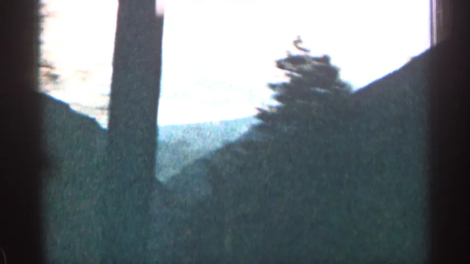 1963 Colorado 8mm frame with evergreen silhouettes, a sloping ridgeline, bright sky, and dark vertical film borders from a moving view.