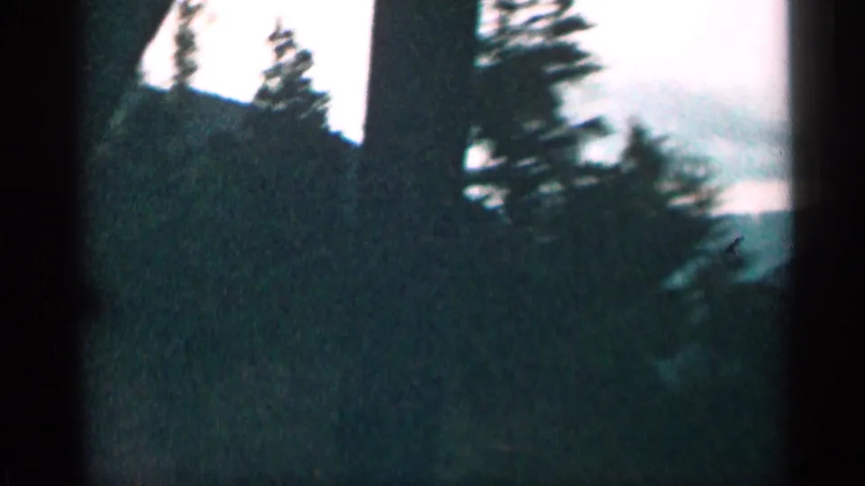 1963 Colorado 8mm frame showing dark trees in the foreground, a mountain slope beyond, pale sky, and visible film wear.