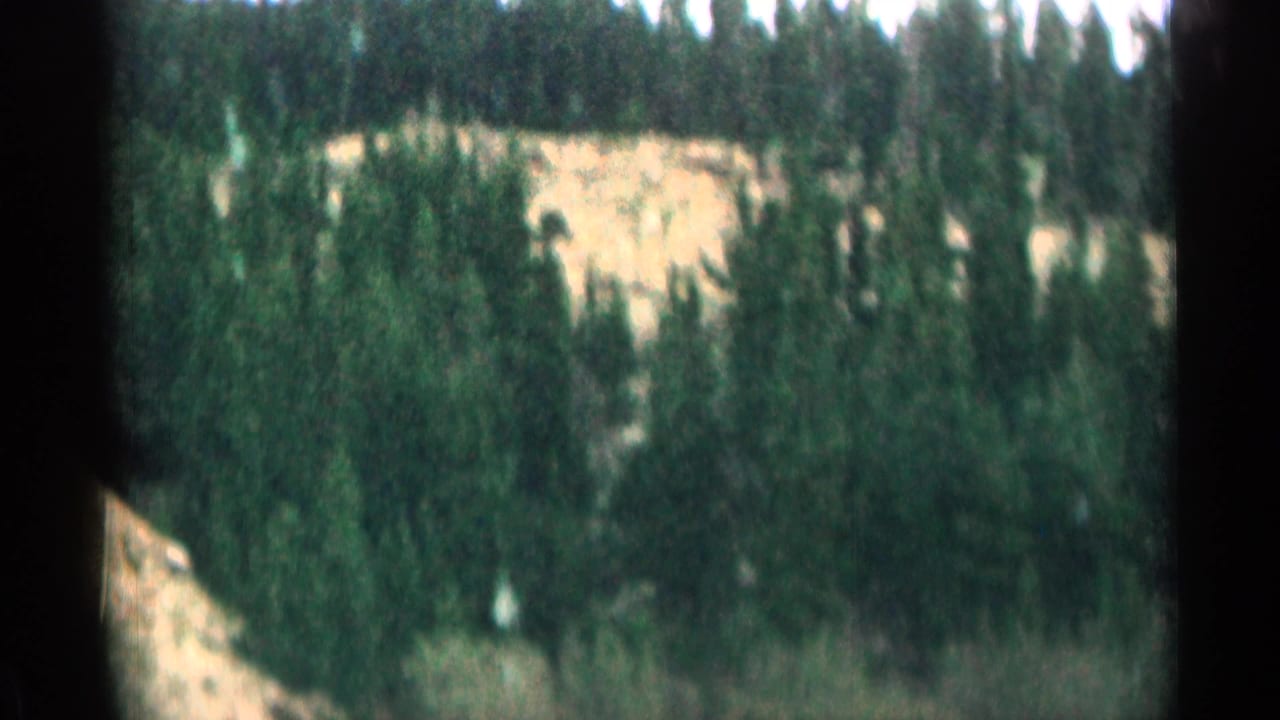Pine trees and pale mountain slope seen through dark film-frame edges.