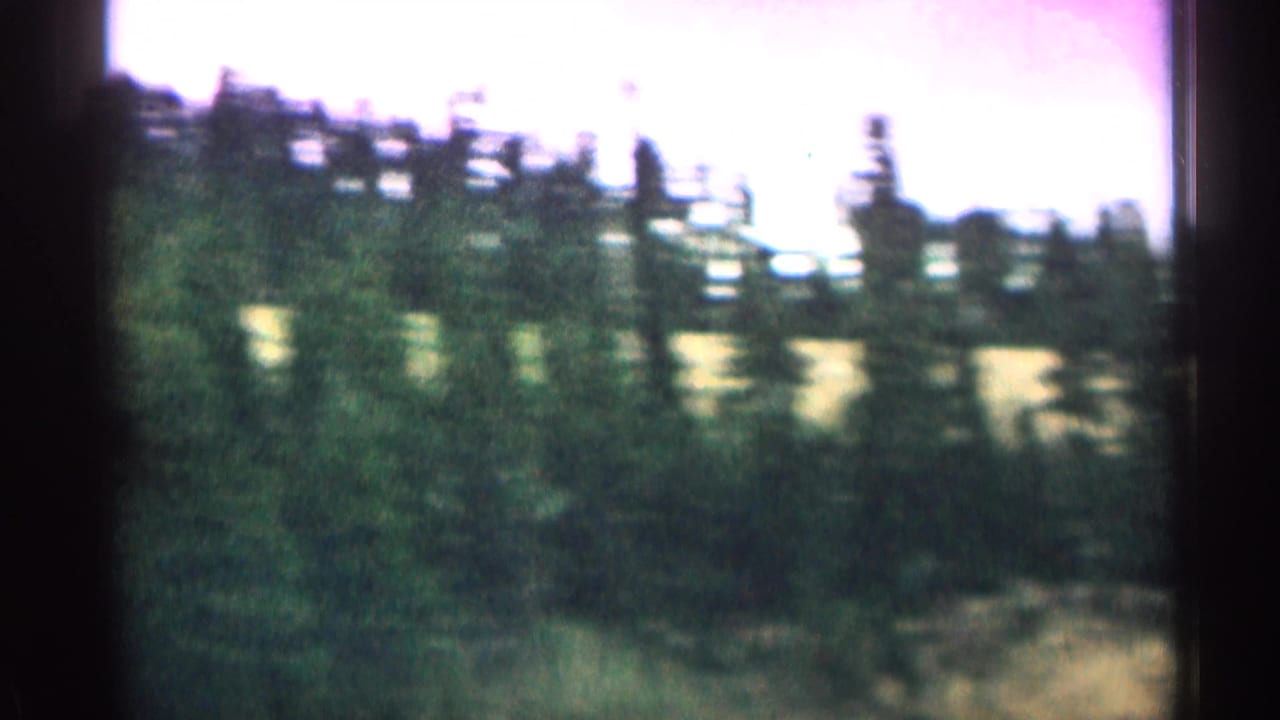 Blurred pine forest and mountain slope passing beside the road.