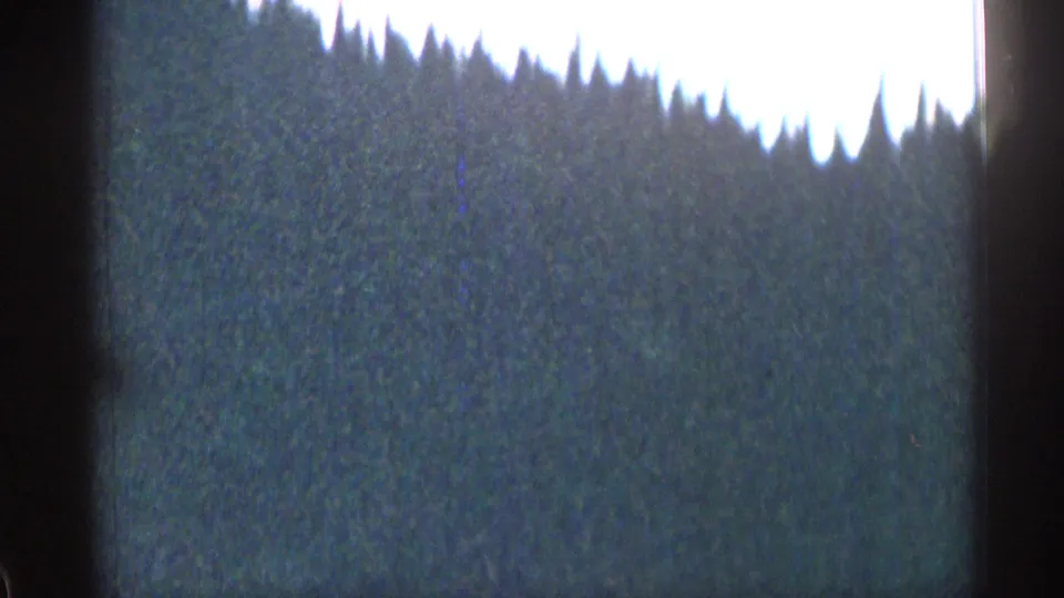Blurred 8mm frame from the Colorado road trip, showing a blue-gray ground or road surface below a bright treeline edge.