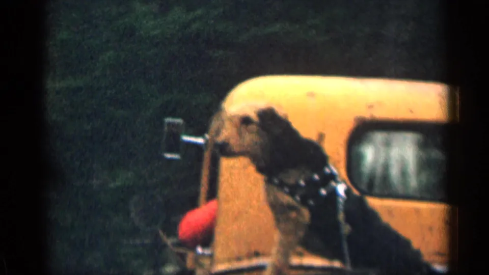 Yellow truck alongside a moving car in 1963 Colorado home-movie footage, with dark trees and partial vehicle framing visible.
