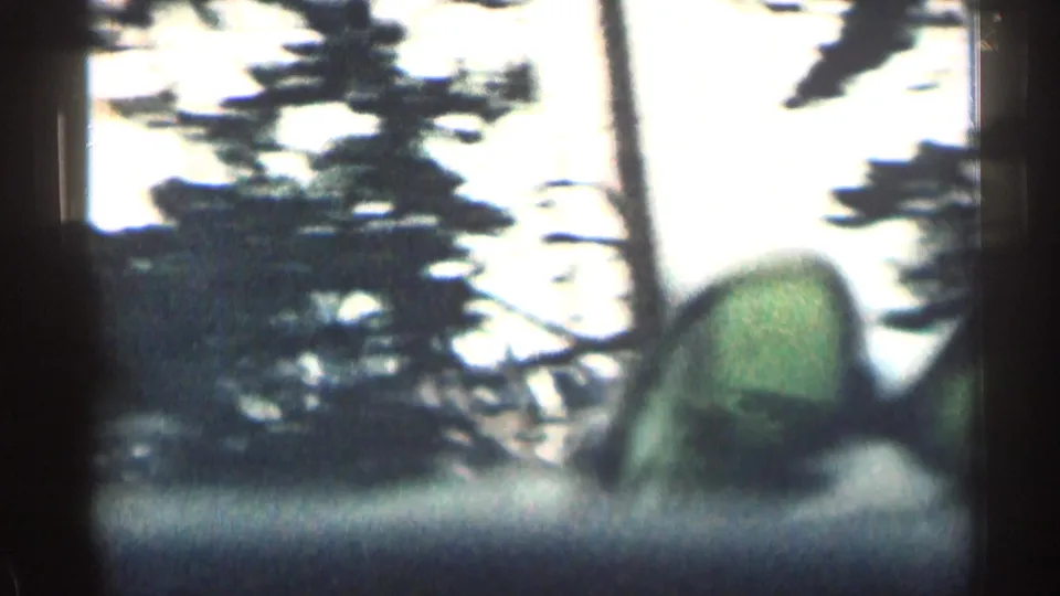 Grainy Colorado 8mm frame showing the dog near the truck cab with evergreen trees and sky behind it.
