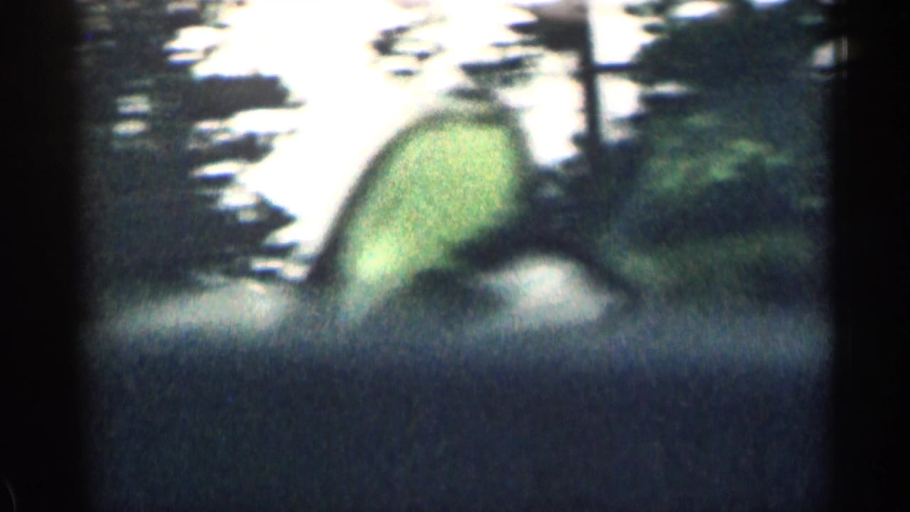 Blurred roadside trees and greenery seen from a moving car.