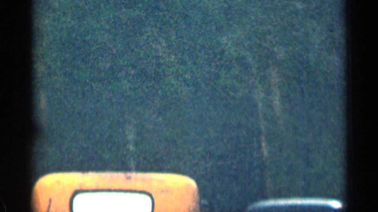 Partial orange vehicle roof or side panel against a dark forested background.