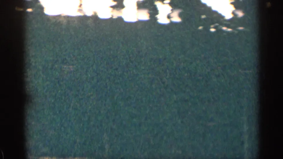 Moving 8mm roadside frame in Colorado, dominated by blurred evergreens and bright sky.