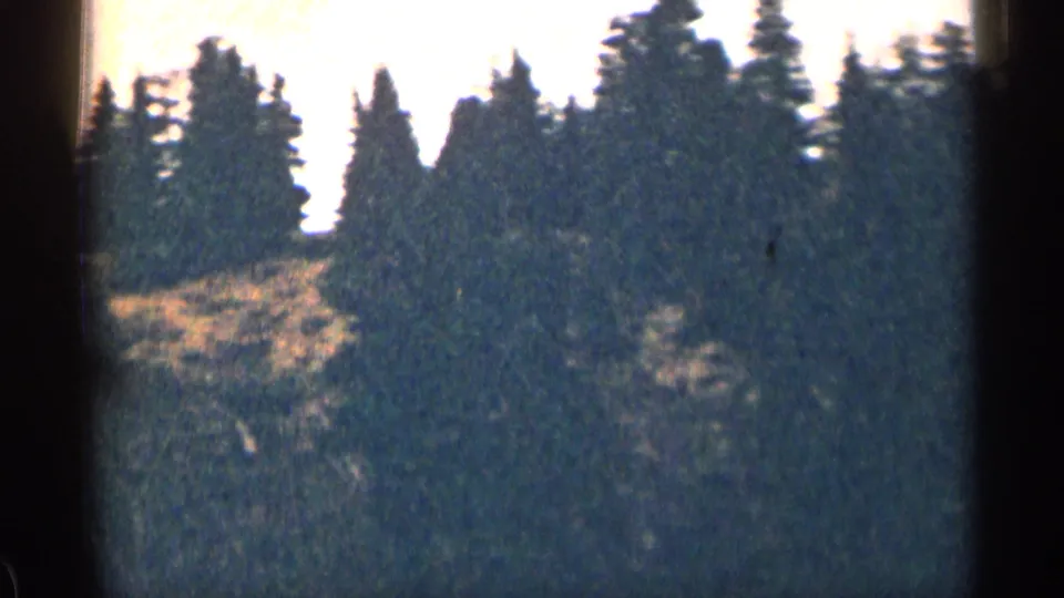 1963 Colorado 8mm frame looking toward dark evergreens and a dry hillside from a moving rural road perspective.