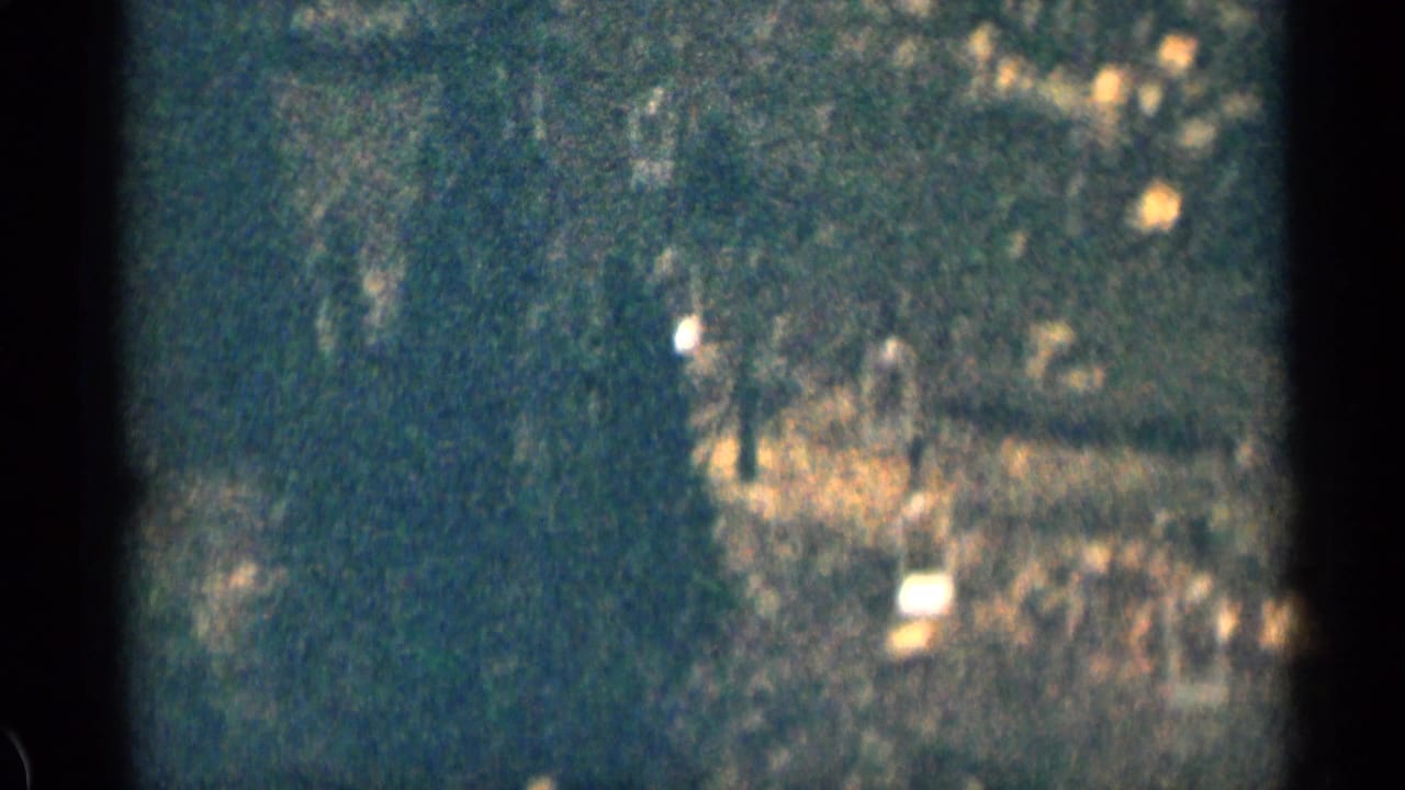 1963 Colorado 8mm frame with dark evergreen trees, scattered bright patches, and a heavily bordered home-movie frame.
