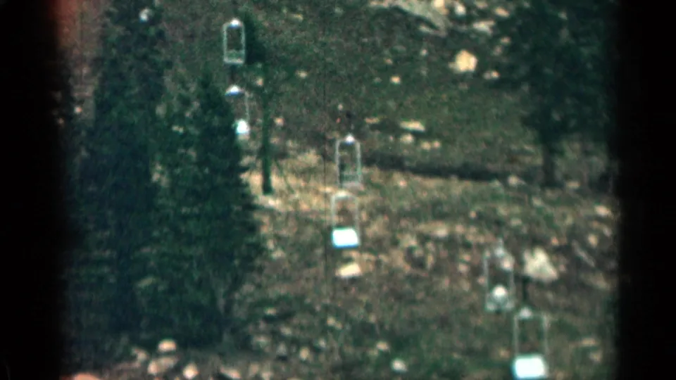 Grainy Colorado home-movie frame showing ski-lift chairs and poles ascending a forested slope.