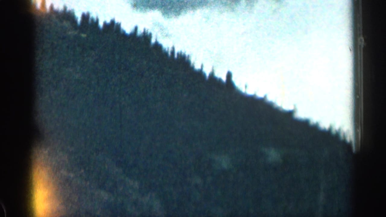 Soft 8mm view of a forested Colorado mountainside, with dark tree cover and a pale sky at the ridge line.