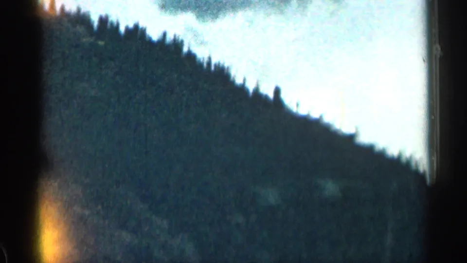 Soft 8mm view of a forested Colorado mountainside, with dark tree cover and a pale sky at the ridge line.