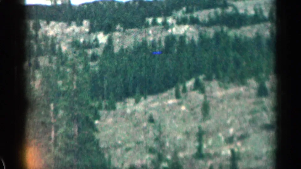 1963 Colorado home-movie frame with blurred evergreens and rocky terrain viewed from a moving car.