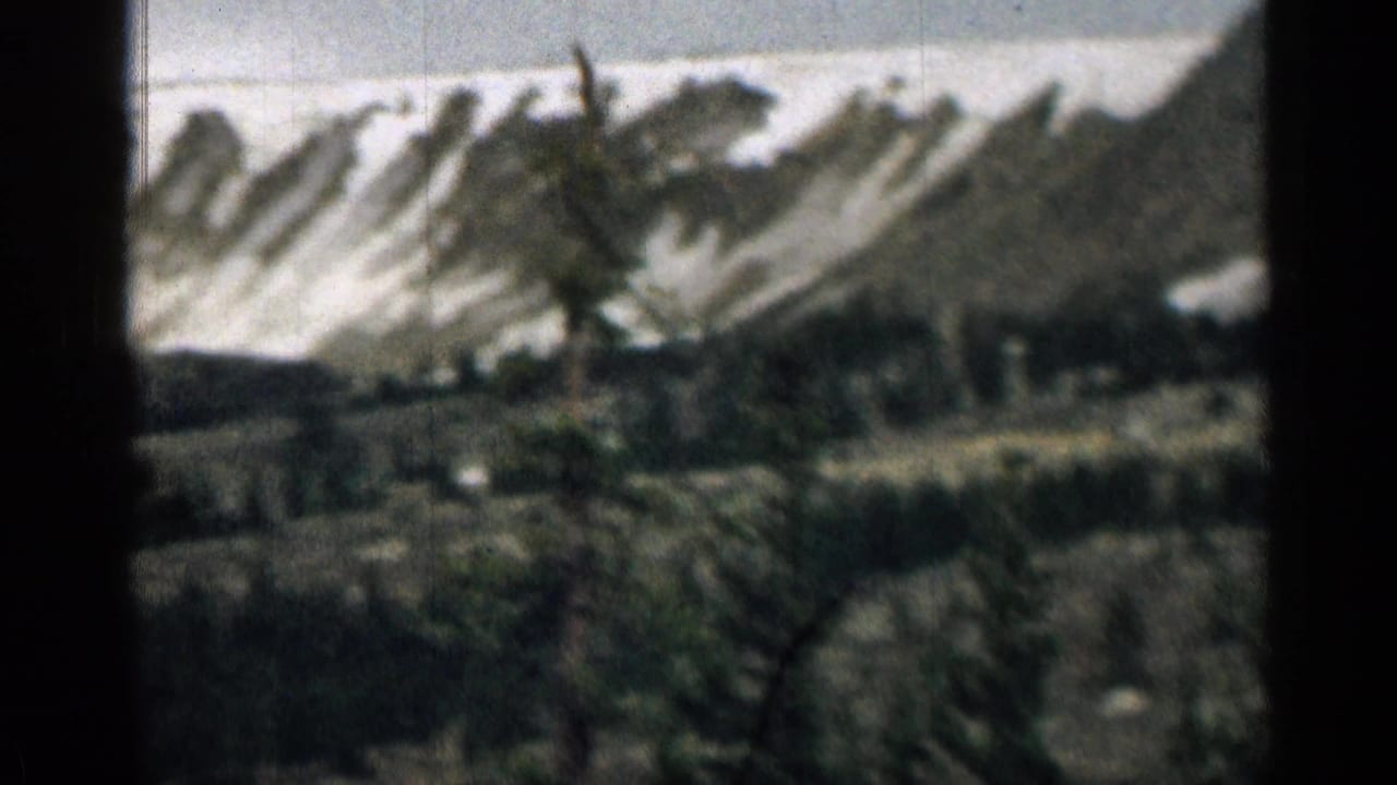 Snow-dusted mountain ridge and dark evergreen forest seen through soft 8mm framing.