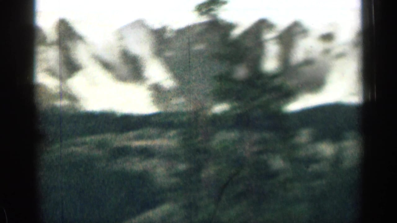 Blurred mountain landscape with pale snow patches and dark trees in the foreground.