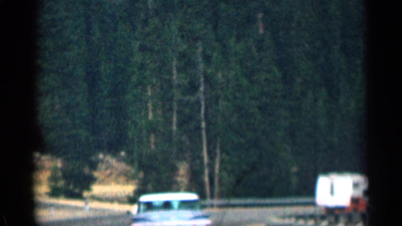 Mountain road bordered by dark pine forest with vehicles near the lower edge of frame.